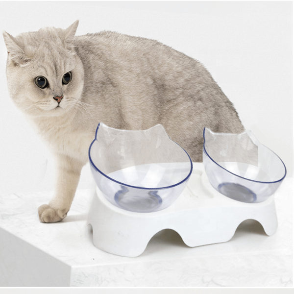 Elevated Feeding Water Pet Dog Cat Food Double Bowl Feeder 15 Degree Inclined Transparent (1)