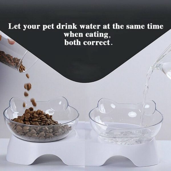 Elevated Feeding Water Pet Dog Cat Food Double Bowl Feeder 15 Degree Inclined Transparent (3)