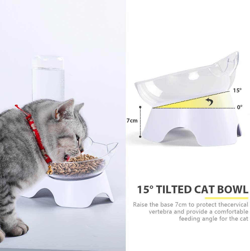 Elevated Feeding Water Pet Dog Cat Food Double Bowl Feeder 15 Degree Inclined Transparent (7)