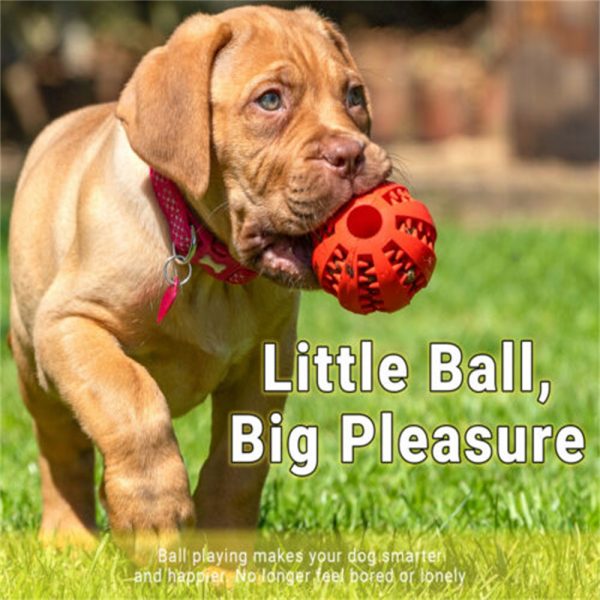 Pet Ball Dog Balls Fetch Food Pet Dog Rubber Ball Teething Durable Clean Chew Teething Treat Clean Rubber Chew (6)