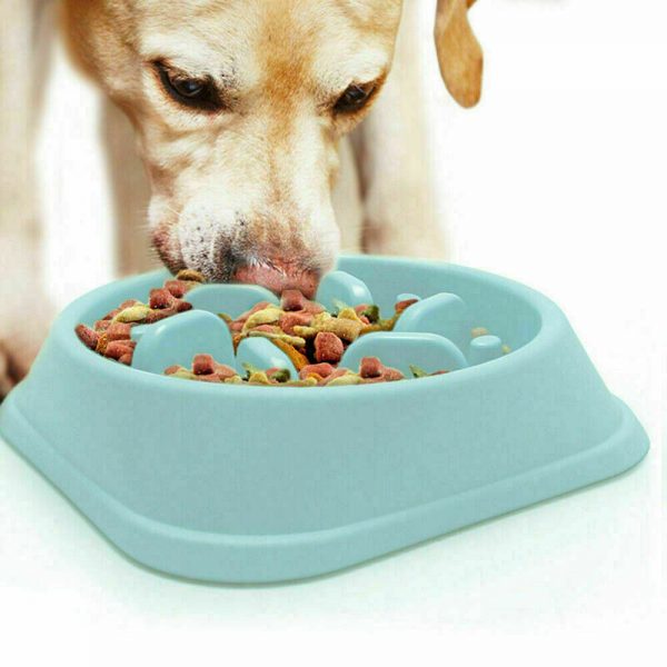 Pet Slow Feeder Dog Bowl Feeding Bowl Toy Creative Cat Top Quality 2021 New (1)