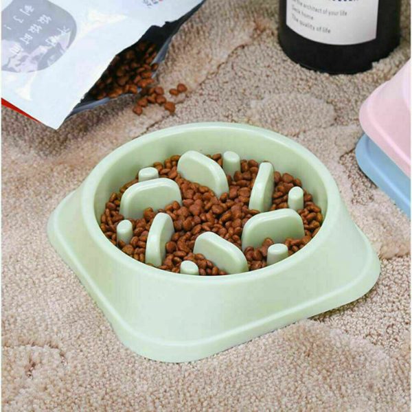 Pet Slow Feeder Dog Bowl Feeding Bowl Toy Creative Cat Top Quality 2021 New (8)