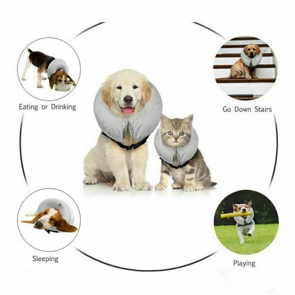 Inflatable Collar Dog Cat Pet Puppy Medical Protection Head Cone Sof E Collar (4)