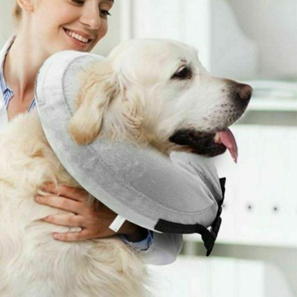 Inflatable Collar Dog Cat Pet Puppy Medical Protection Head Cone Sof E Collar (5)